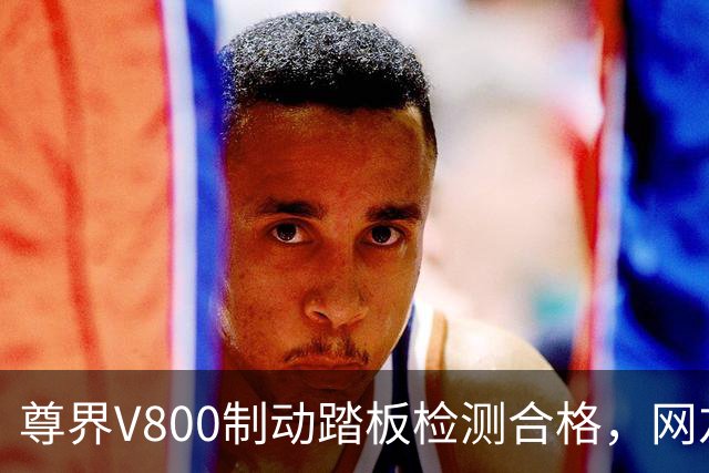 尊界V800制动踏板检测合格，网友却仍存质疑